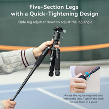 Load image into Gallery viewer, Compact 20" Aluminum Tripod with 360° Versatile Ball Head &amp; Smartphone Holder
