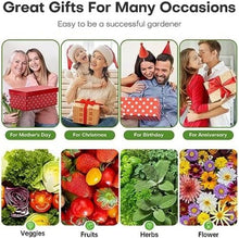 Load image into Gallery viewer, LED Hydroponic 10-Pod Plant Germination Kit - Family-Friendly Indoor Grower