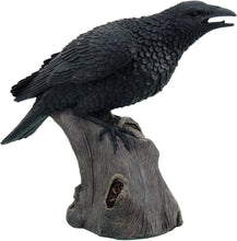 Load image into Gallery viewer, Realistic 14.5" Tall Raven Figurine - Captivating Hand-Painted Home Accent