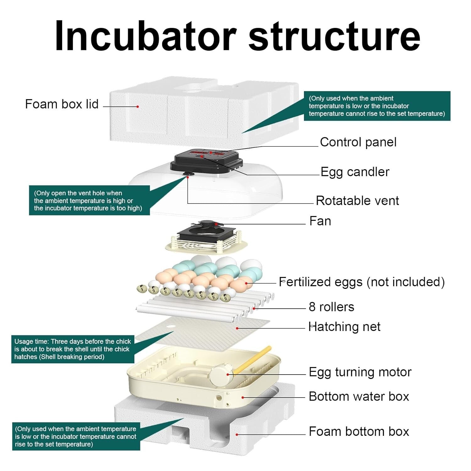 Efficient 35 Egg Incubator: Automatic Turning, Humidity Control & Visual Design