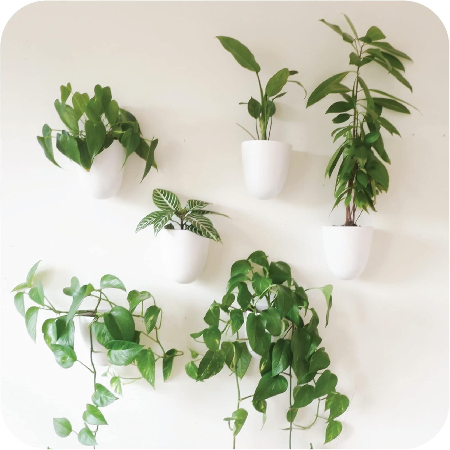 Lightweight Resin Indoor Wall Planters - 6 Self-Watering Pots for Easy Care