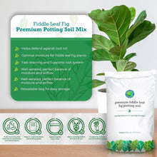 Load image into Gallery viewer, Nutrient-Rich Fiddle Leaf Fig Potting Mix - 7.57 Liters for Optimal Plant Health