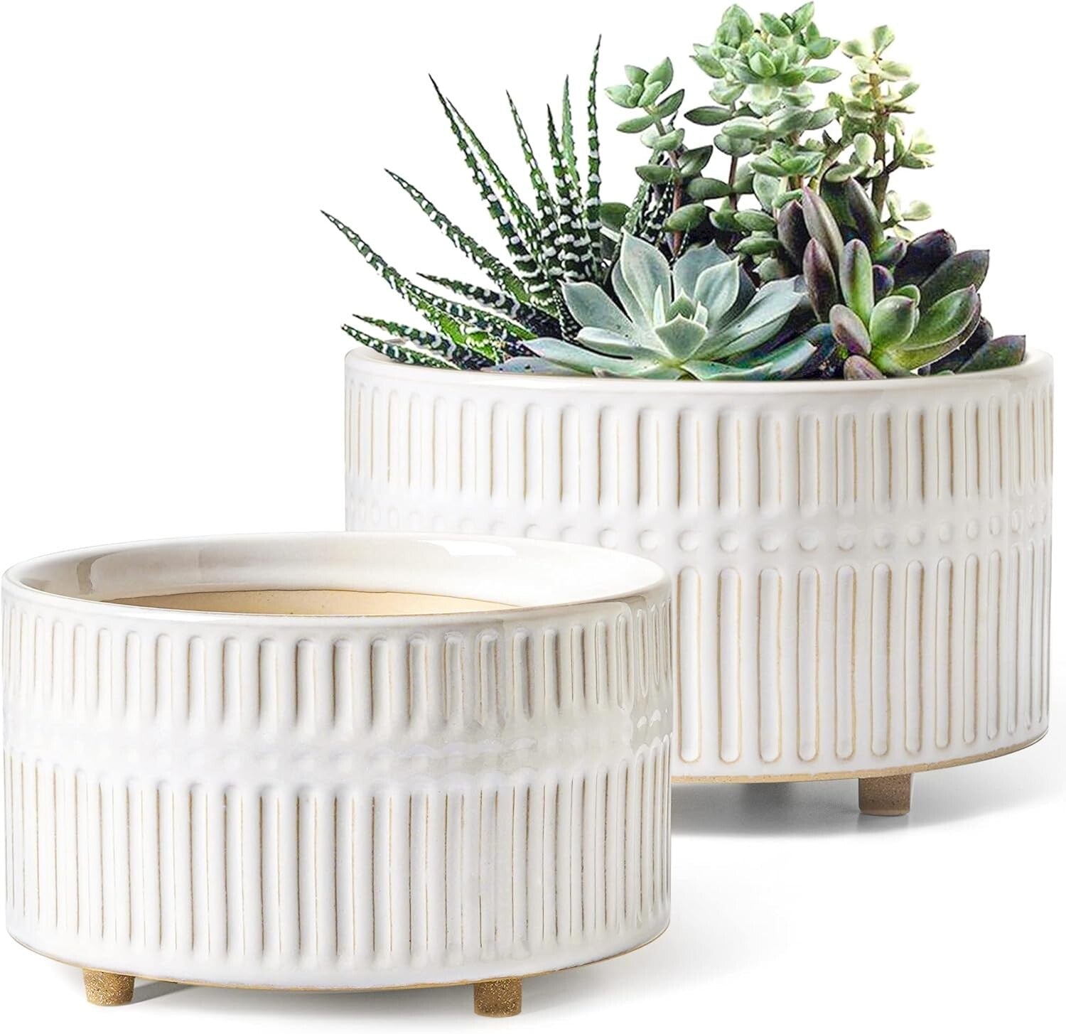 Elegant 6.5/8 Inch Ceramic Succulent Pots with Drainage - Indoor Garden Combo