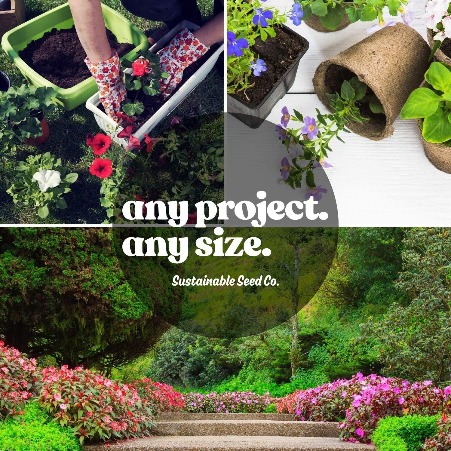 23 Variety Bulk Wildflower Seeds - Create Your Butterfly Garden - 1 lb Pack