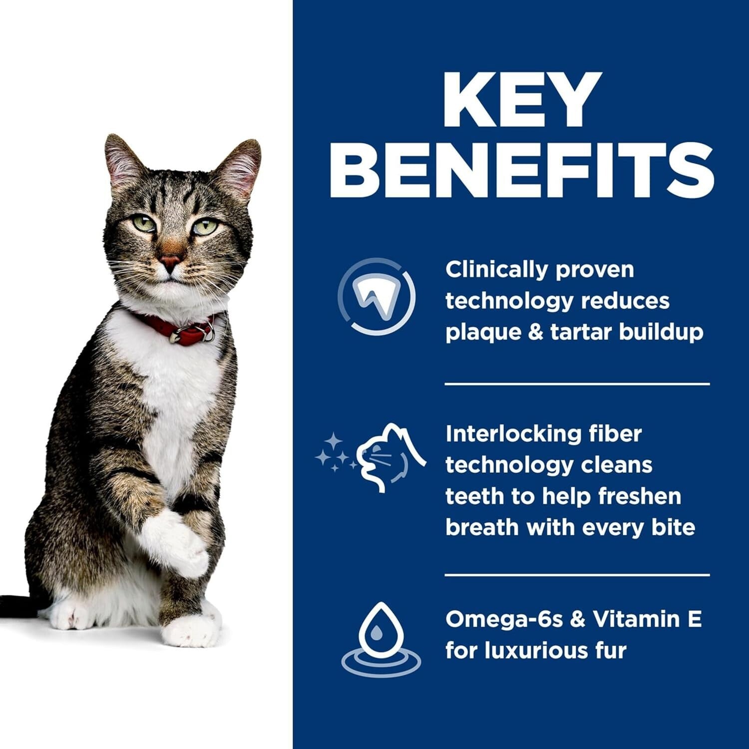 Veterinarian Recommended 7lb Cat Food - Chicken Flavor for Fresh Breath & Health