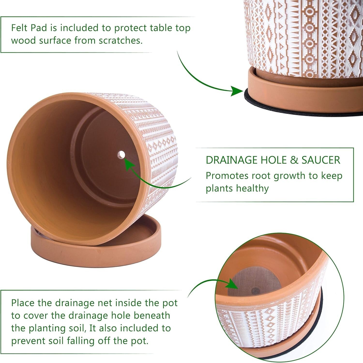 Elegant Terracotta Flower Pots - 2-Piece Set, Indoor Use, with Drainage Holes