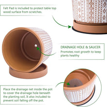 Load image into Gallery viewer, Elegant Terracotta Flower Pots - 2-Piece Set, Indoor Use, with Drainage Holes
