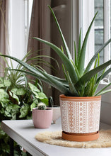 Load image into Gallery viewer, Elegant Terracotta Flower Pots - 2-Piece Set, Indoor Use, with Drainage Holes