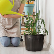 Load image into Gallery viewer, Thickened Soft Plastic 5 Gallon Nursery Pots - 12 Pack with Plant Tags &amp; Tools