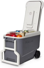 Load image into Gallery viewer, Portable Electric Cooler with Efficient Thermoelectric Technology - 35Qt