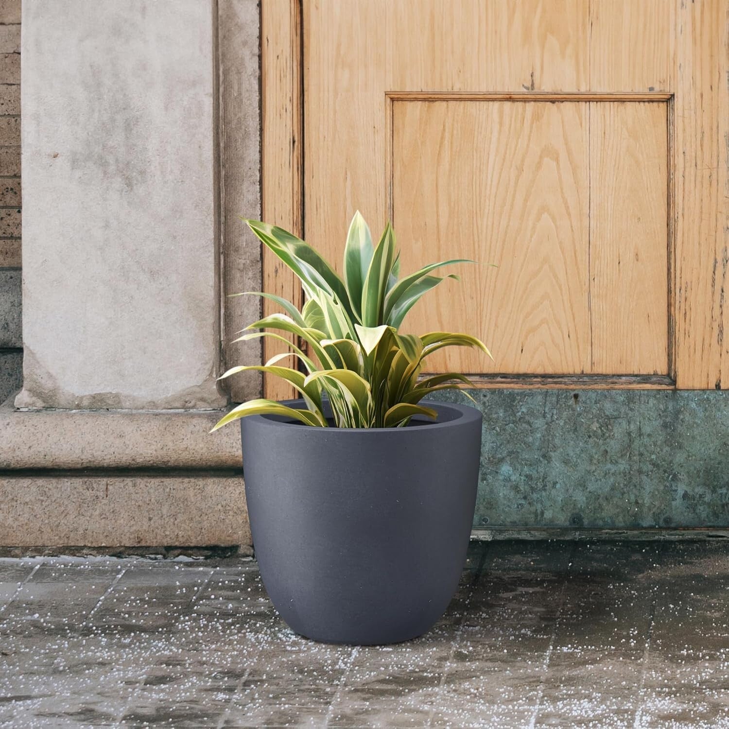 Elegant 14" Diameter Concrete Planter with Rubber Plug - Perfect for Every Space