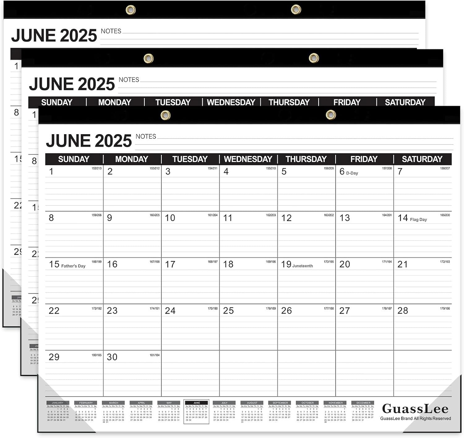 2025-2026 Hanging Planner - Premium Paper with Durable Design for Home & Office