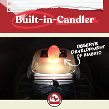 Load image into Gallery viewer, Automatic Egg Incubator for Chickens &amp; Ducks - Holds 12-22 Eggs with 360° View