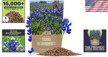 Load image into Gallery viewer, Texas Bluebonnet Wildflower Seeds - 1 lb Bulk for Vibrant Gardens - 16,000 Seeds