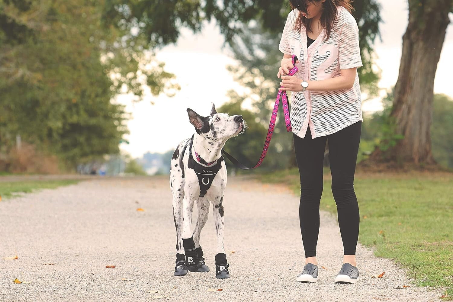 Versatile Large Dog Harness with Back Handle & Leash Options – Black Mesh Design