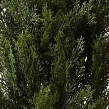 Load image into Gallery viewer, 4FT Realistic Faux Cedar Tree - Elegant Greenery for Indoor &amp; Outdoor Use
