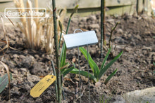 Load image into Gallery viewer, Large 11.5" Rectangular Weatherproof Plant Labels - 100-Pack Zinc Markers