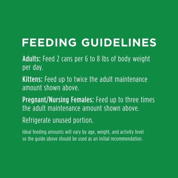 High Protein Grain-Free Cat Food - Original Lamb Pate, Pack of 24 Cans per 3 oz