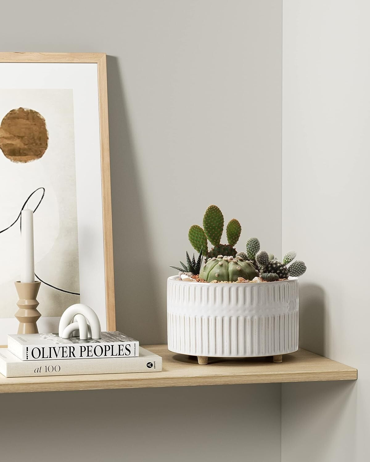 Elegant 6.5/8 Inch Ceramic Succulent Pots with Drainage - Indoor Garden Combo