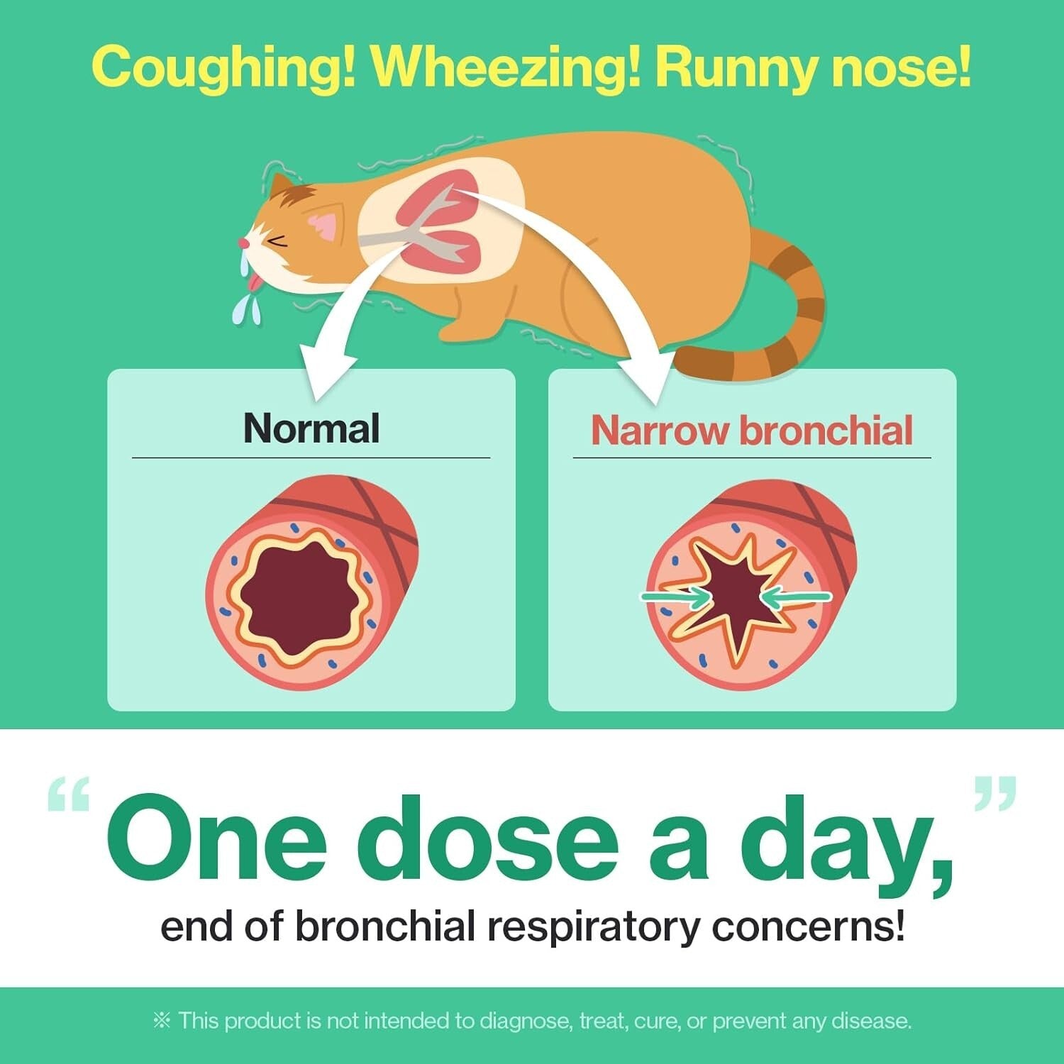 Asthma & Cough Relief for Cats - Delicious Chicken Gel for Respiratory Wellness