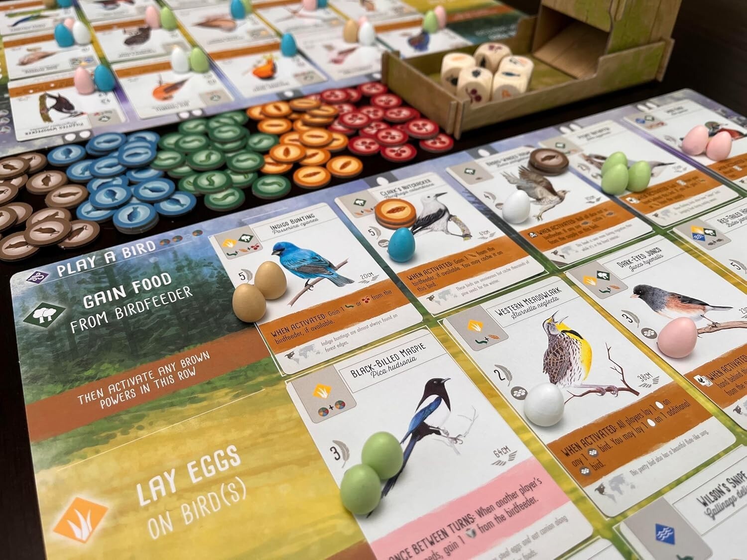 Wingspan Board Game - Beautifully Illustrated Strategy for Bird Lovers (14+)