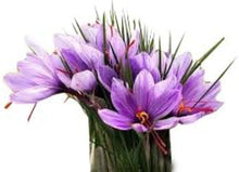 Load image into Gallery viewer, Premium 20 Jumbo Crocus Sativus Bulbs - Ideal for Fall Blooming &amp; Outdoor Use