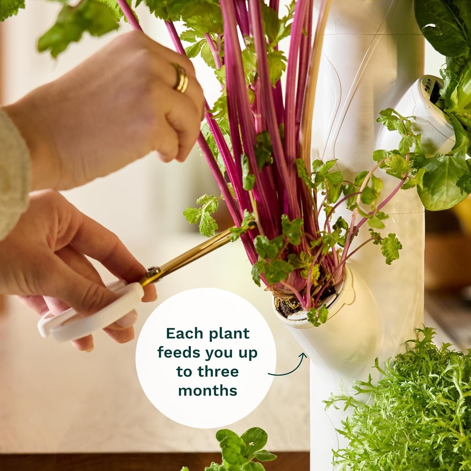 Sustainable 4.0 Hydroponics Kit - 30 Non-GMO Plants for Indoor Gardening Delight