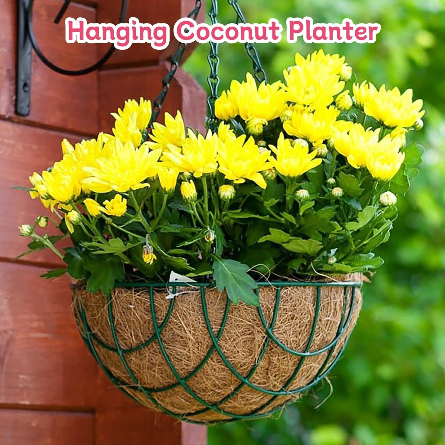 4 Pack 20" Round Natural Coconut Coir Liners for Beautiful Hanging Baskets