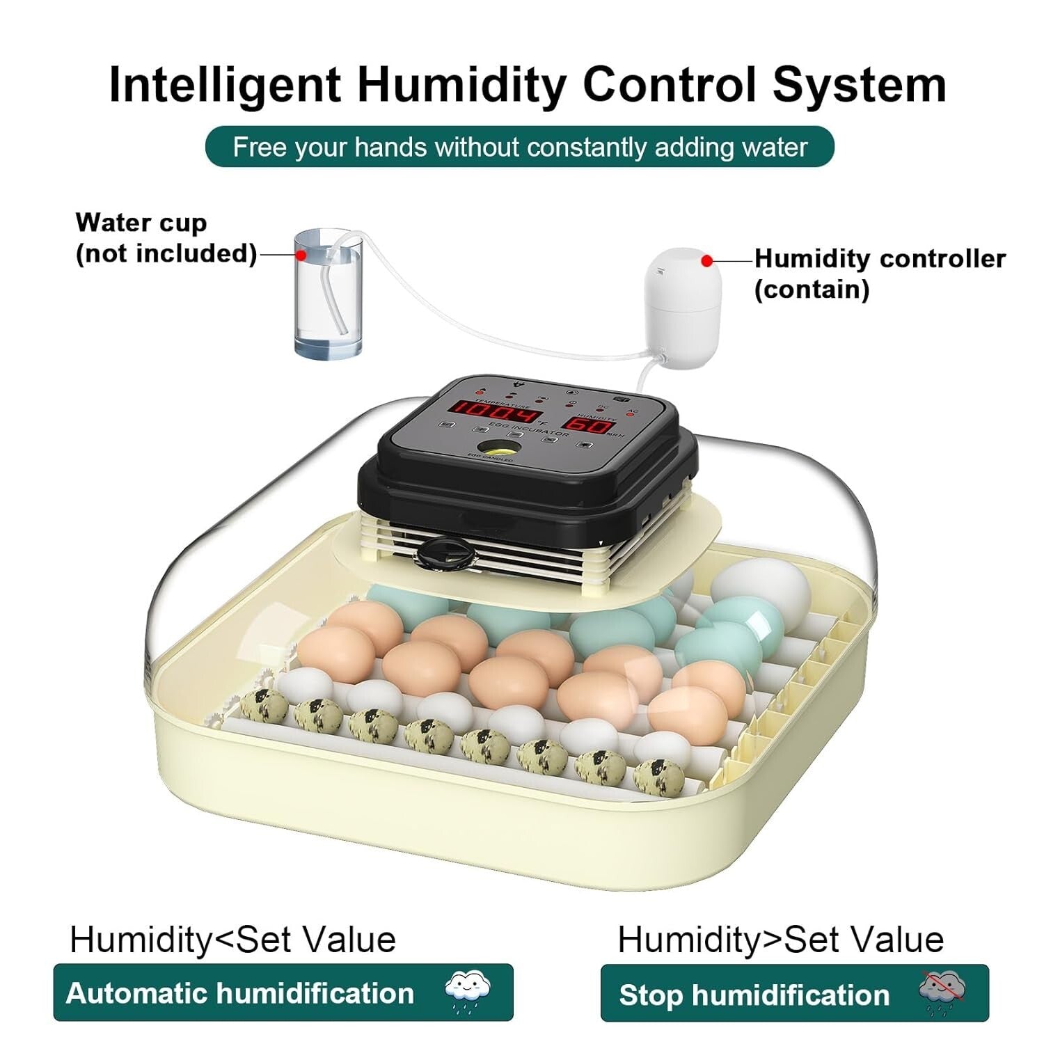 Efficient 35 Egg Incubator: Automatic Turning, Humidity Control & Visual Design