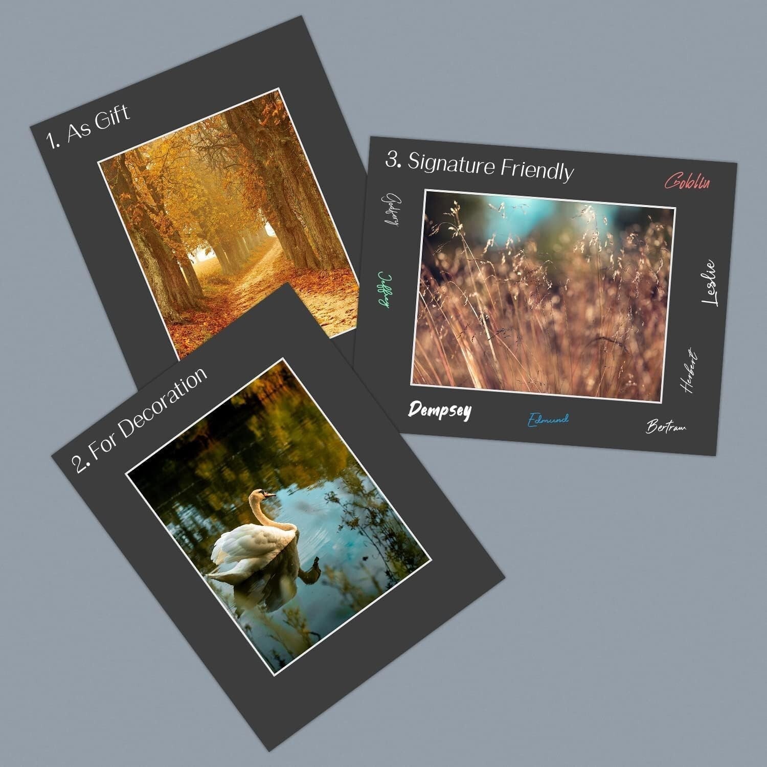 Elegant 16x20 Black Picture Mats with White Core - 25 Count for 11x14 Images