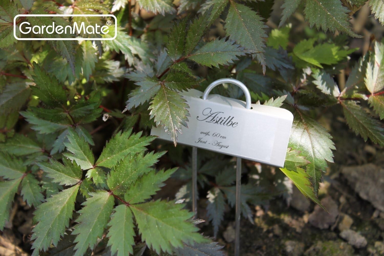 Resistant Zinc Mini Plant Labels - 100 Durable Markers for Garden Care