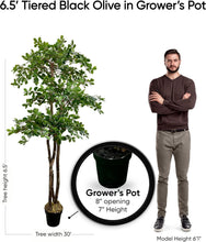 Load image into Gallery viewer, Ethically Sourced Real Wood 3-Tier Olive Tree - 6.5ft Hypoallergenic Decor
