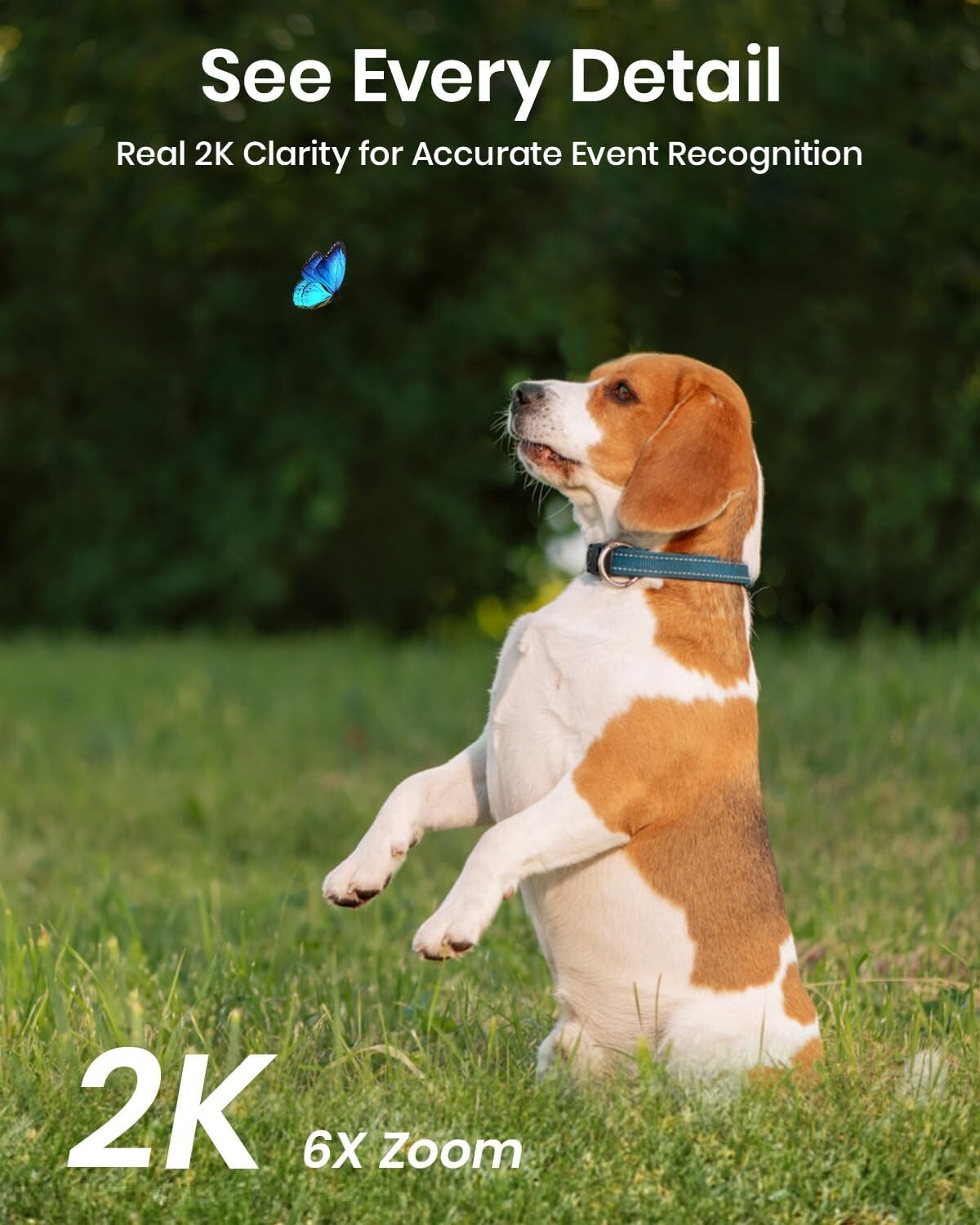 Add-On 2K Outdoor Camera for Enhanced Security - Requires Compatible HomeBase