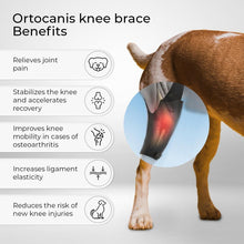 Load image into Gallery viewer, Veterinary-Quality Left Leg Dog Brace for ACL &amp; Patella Support - Mini Size