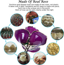 Load image into Gallery viewer, Forever Lasting 24K Gold-Plated Rose with Crystal Stand - Unique Gift Idea