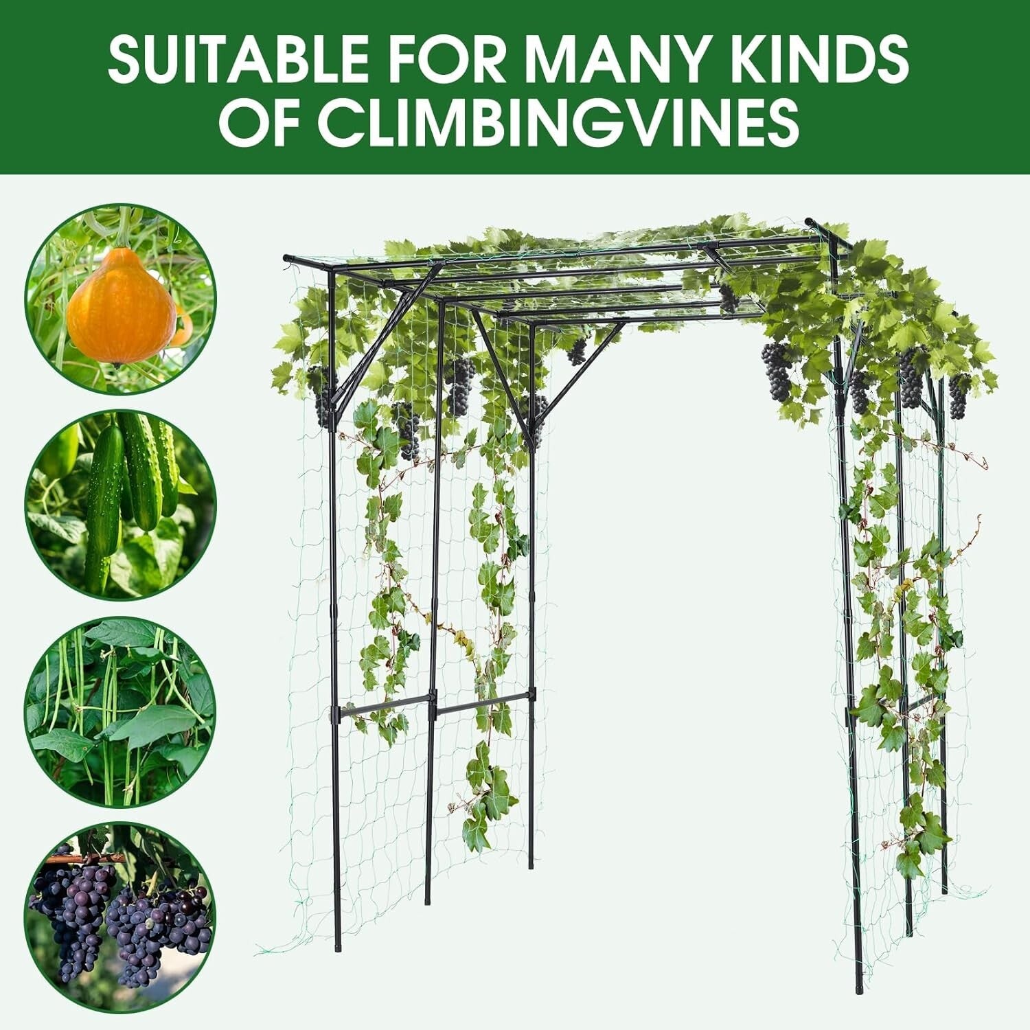 Durable Outdoor Garden Trellis - Black Pergola Frame for Climbing Plants