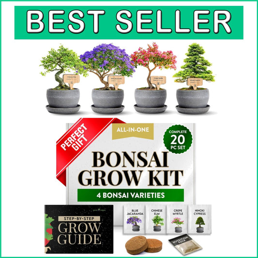 Elegant Bonsai Tree Starter Kit: 4 Unique Varieties & In-Depth Grow Guide