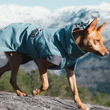 Load image into Gallery viewer, Adjustable Bilberry Dog Coat - 18-Inch Winter Jacket with Reflective Piping