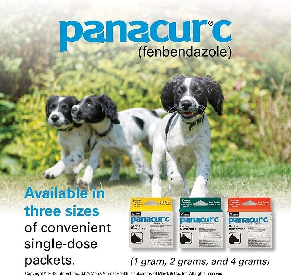 Comprehensive Canine Parasite Control – 4-Pack Panacur C Dewormer for Dogs