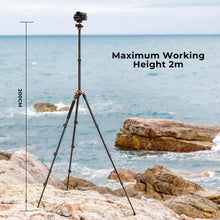 Load image into Gallery viewer, Lightweight 78-Inch Tripod with 360° Rotation - Perfect for Outdoor Photography