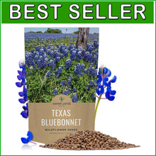 Load image into Gallery viewer, Texas Bluebonnet Wildflower Seeds - 1 lb Bulk for Vibrant Gardens - 16,000 Seeds