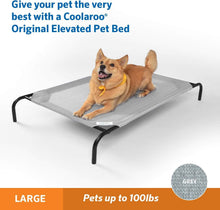 Load image into Gallery viewer, Lightweight &amp; Eco-Friendly Elevated Dog Bed - Joint Support for All Life Stages