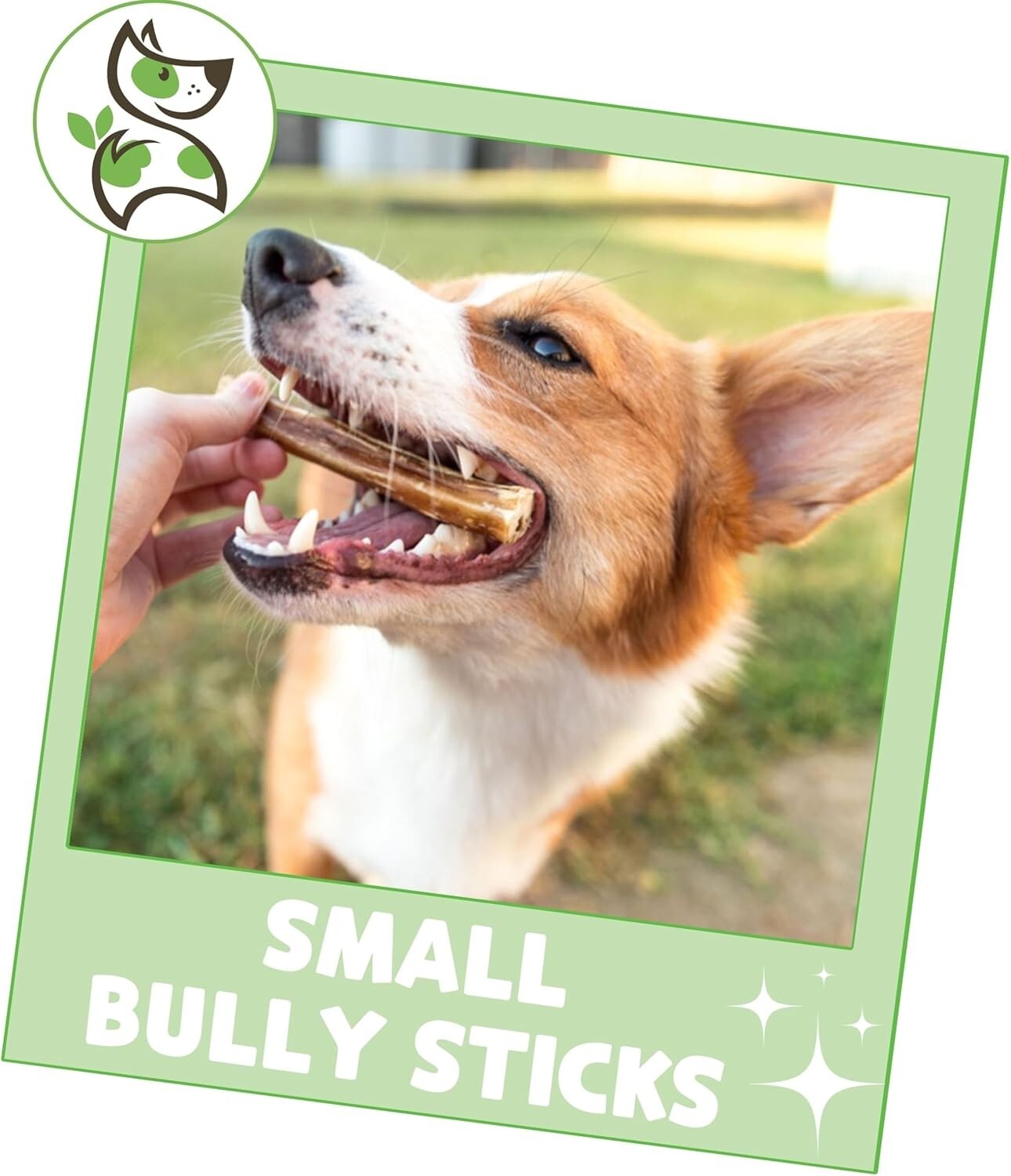 Savory Small Bully Sticks 5-6" - Natural Beef Treats for Puppies and Small Dogs