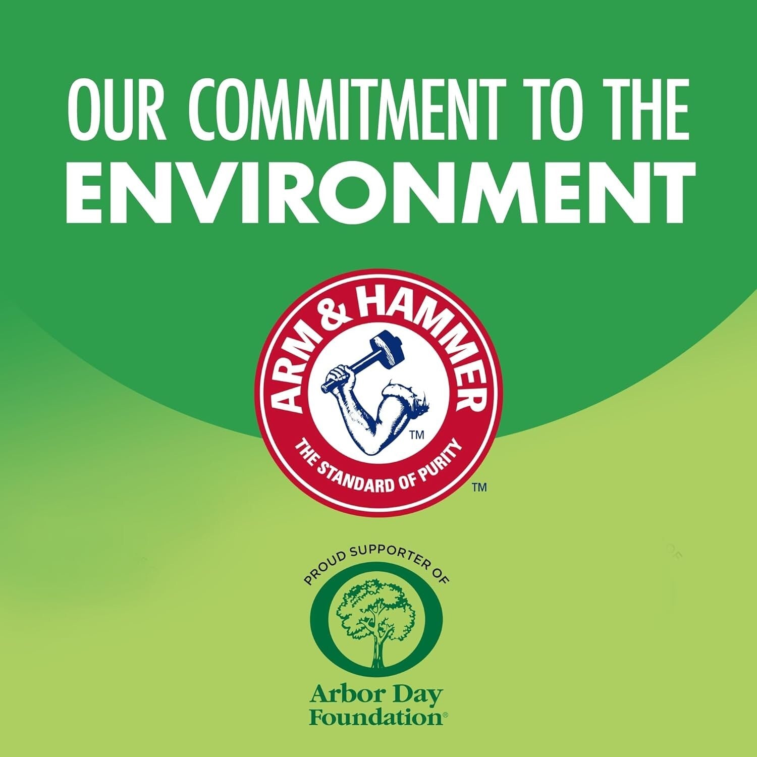 15oz Foam Upholstery Deodorizer - Non-Sticky, Professional Fresh Scent, 8-pack