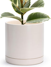Load image into Gallery viewer, Large Round Ceramic Plant Pot - 10" Oatmeal Planter with Drainage Hole &amp; Saucer