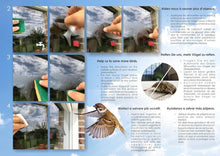 Load image into Gallery viewer, Translucent Anti-Collision Bird Stickers - 51 Silhouettes for Window Safety