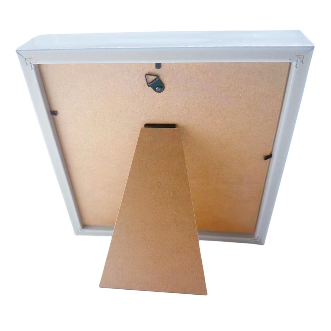 Real Framed Butterfly & Moth Specimens in Solid Wood - Unique Nature Decor