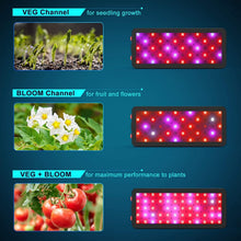 Load image into Gallery viewer, Versatile Full Spectrum Indoor Grow Light for Optimal Seedling Development