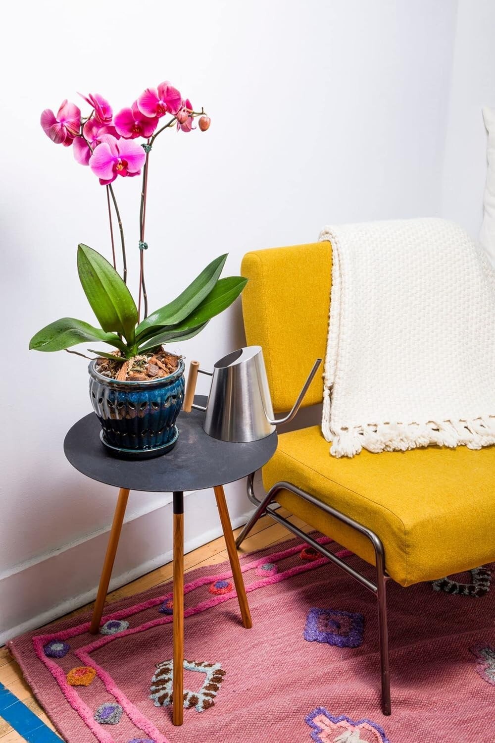 Elegant 6" Teal Jade Ceramic Orchid Pot with Drainage – Ideal for Indoor Plants