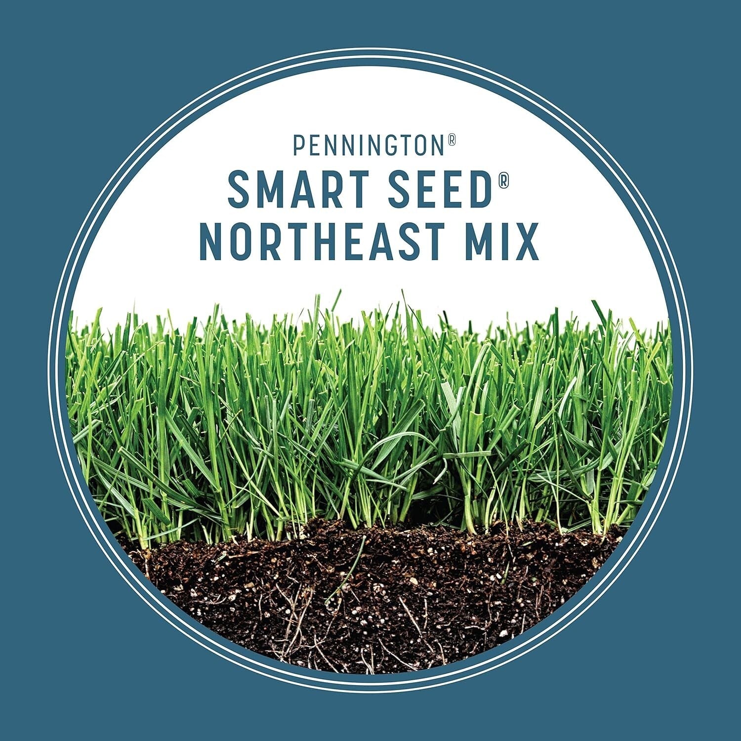 Premium 20 lb Smart Seed Mix: Kentucky Bluegrass & Ryegrass for Northeast Lawns